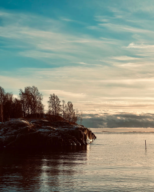 Rocky shoreline with bare birch trees beside a calm sea under a streaked winter sky